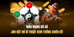 Màu Mạng Đá Gà